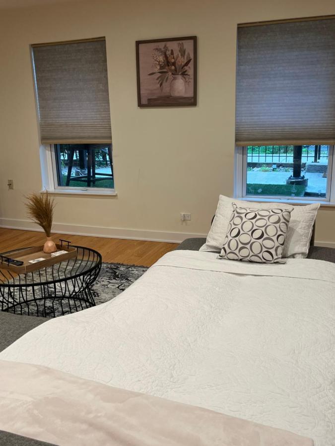 Apartment Vibrant W/ Comforting Vibes Chicago