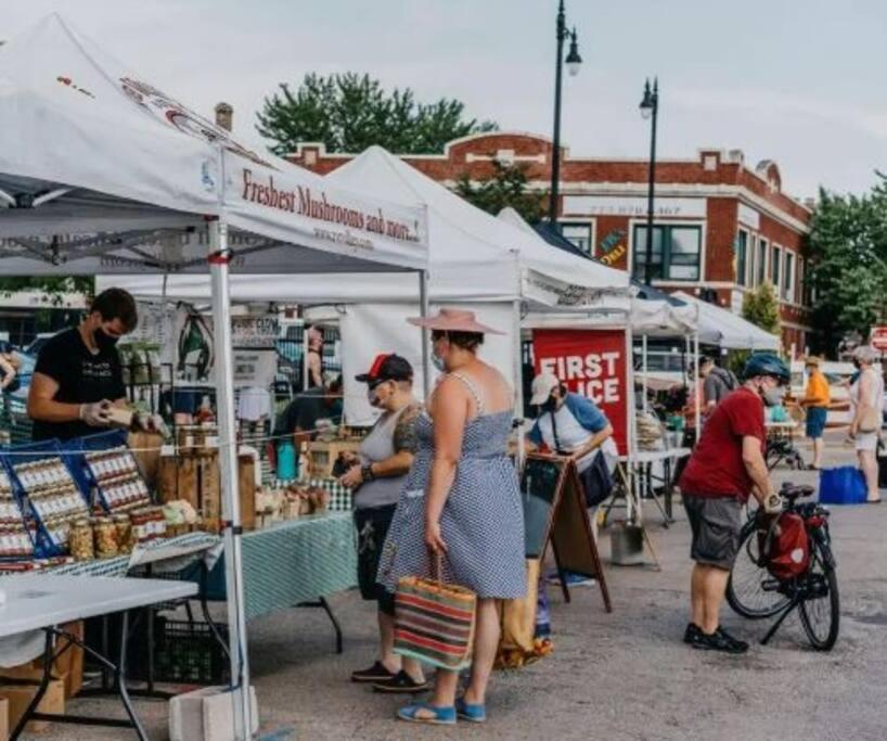 Apartamento 1 Bedroom Gem: Discover Andersonville's Garden Unit