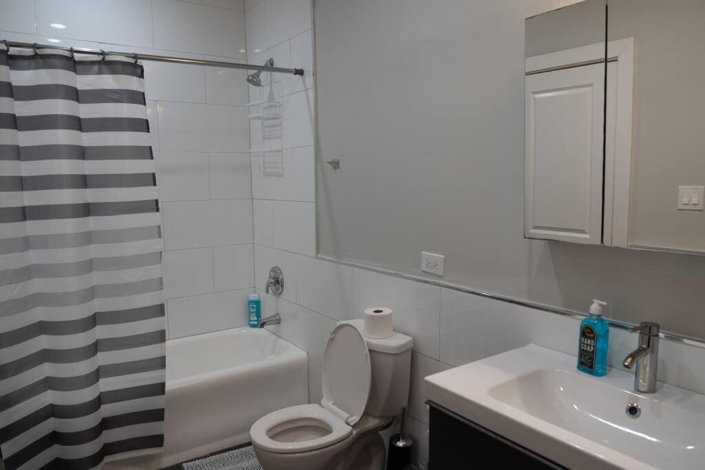 Charming 4br Unit In Historic Hyde Park Near Beach * Chicago