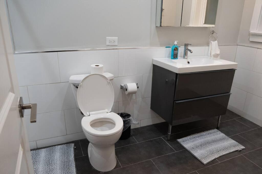 Charming 4br Unit In Historic Hyde Park Near Beach * Chicago