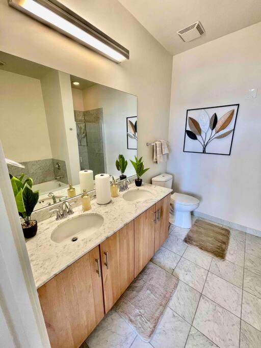 Penthouse In South Loop Apartment *