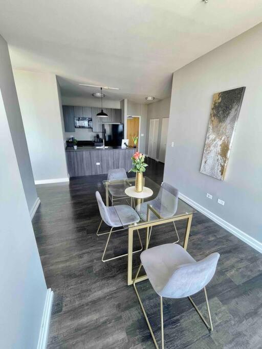 Penthouse In South Loop Apartment Chicago