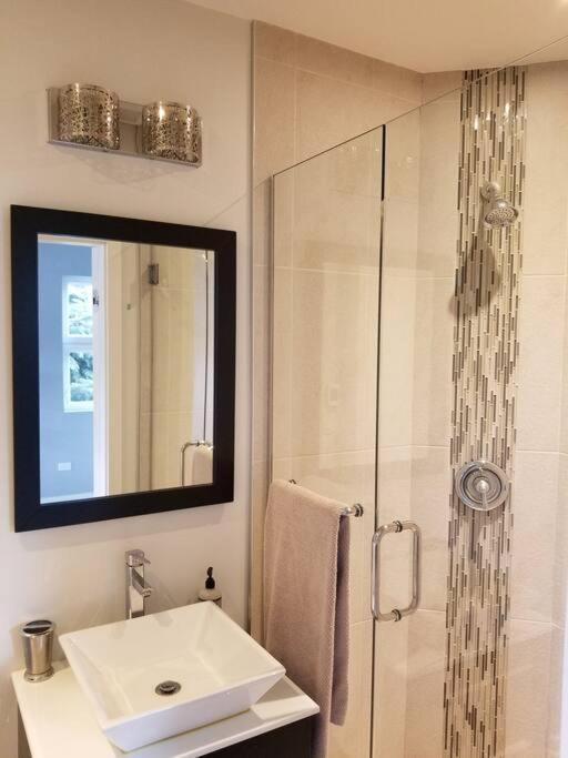 Appartement Nice And Cozy. Sleeps 5. Chicago