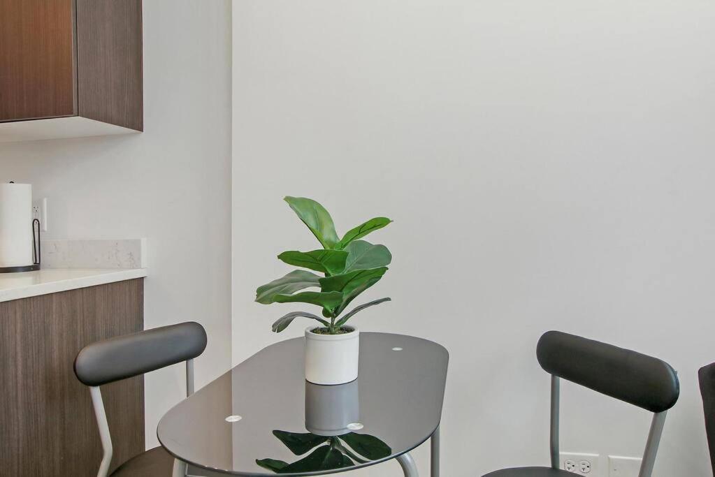 Apartment 1br Adorable With In-unit Laundry - 206