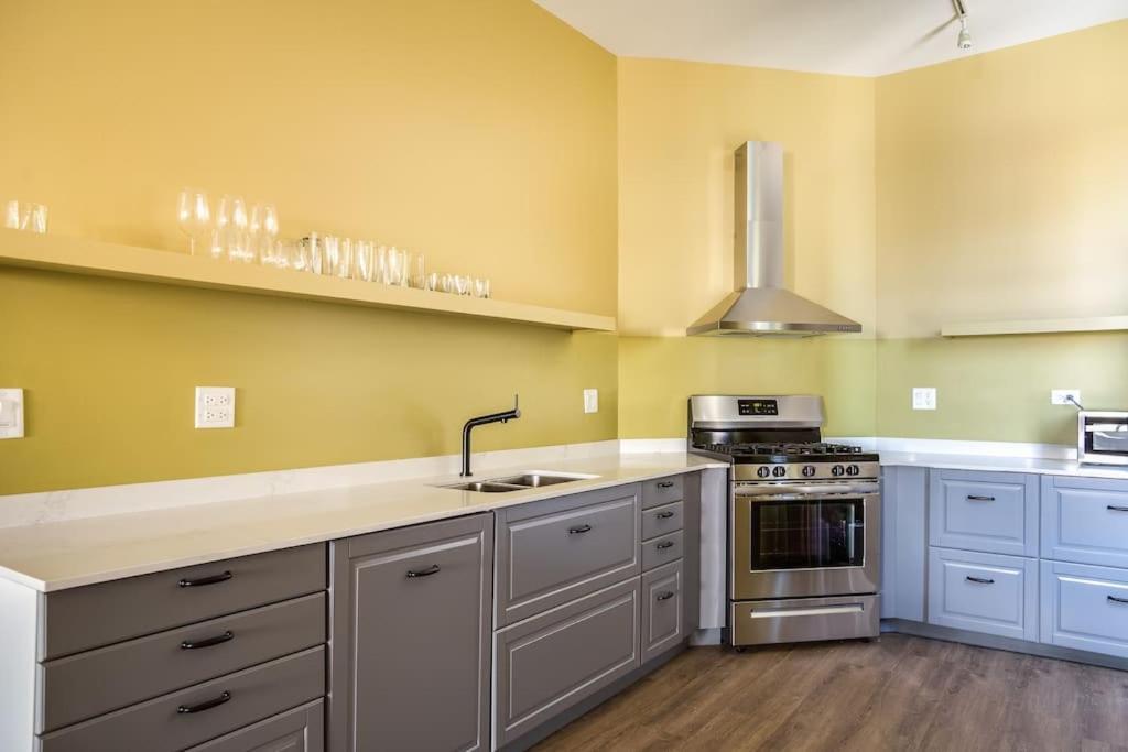 The Orleans - Entire Building - With Rooftop Deck Apartment Chicago