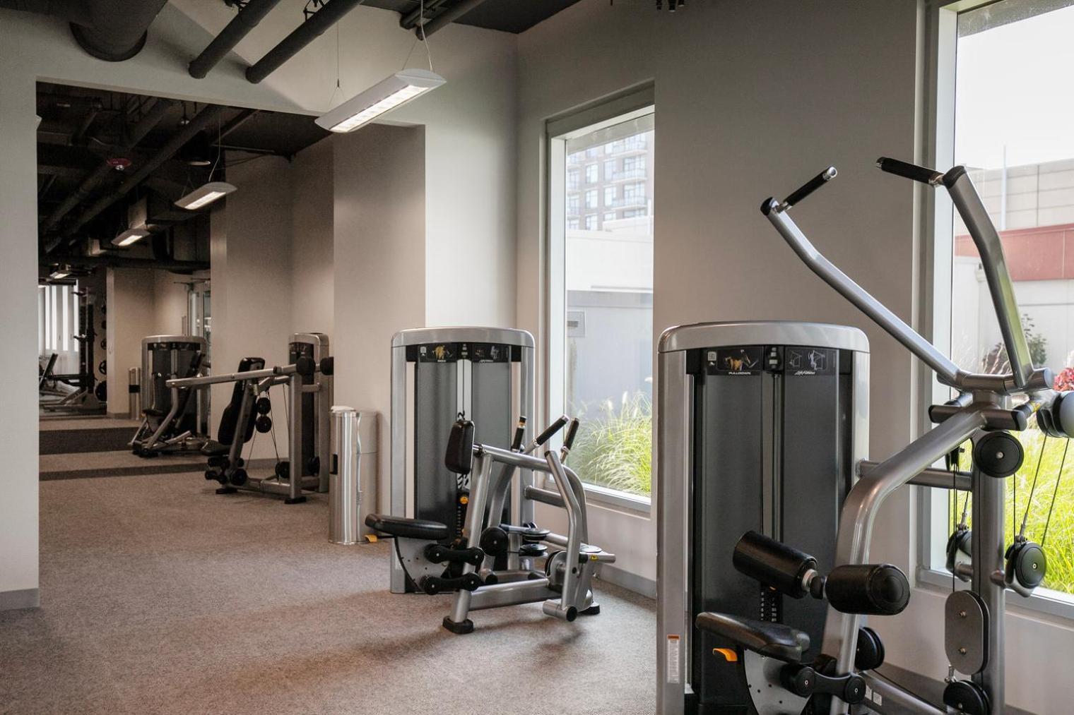 Apartment South Loop 1br W Sauna Fire Pits Nr L Park Chi-989