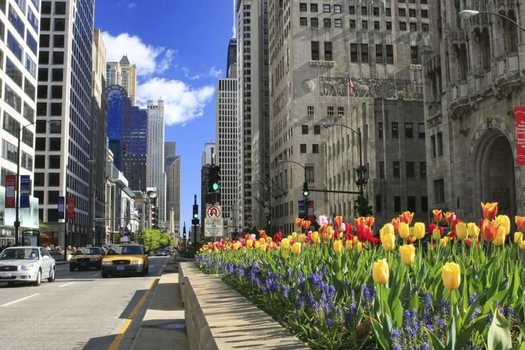 Beautiful Magnificent Mile/rush Street For Up To 8 Guests With Optional Valet Parking Apartment