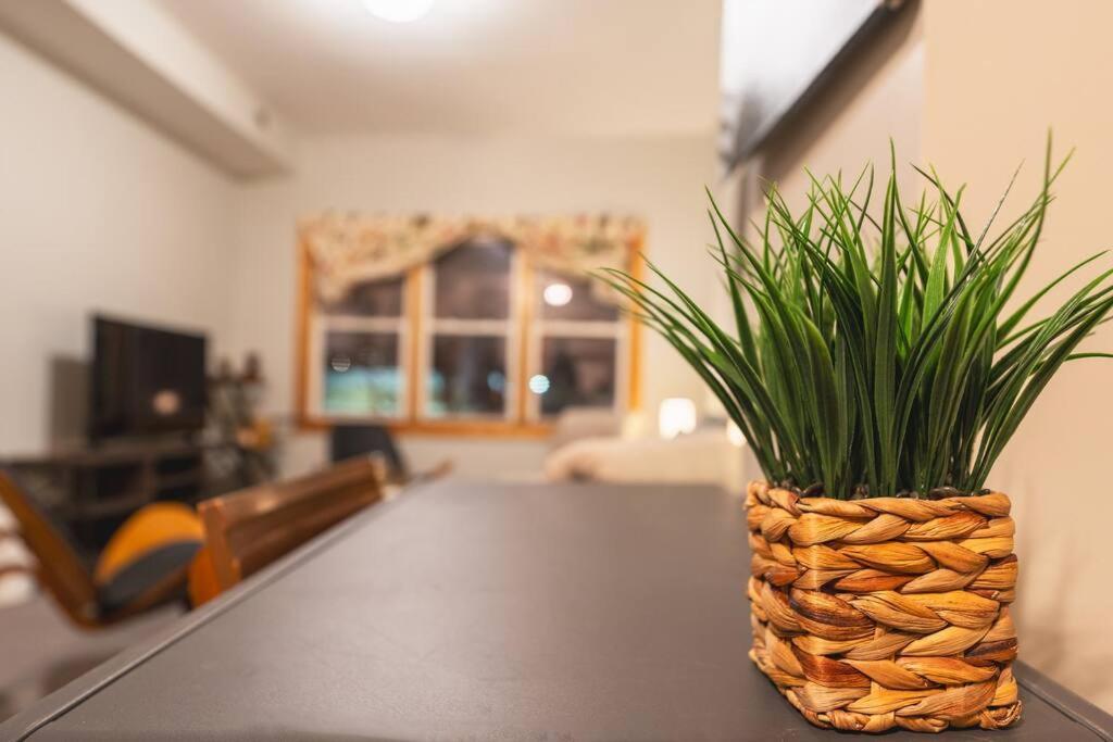 Cityscape Retreat 3br Haven With Free Parking Appartement