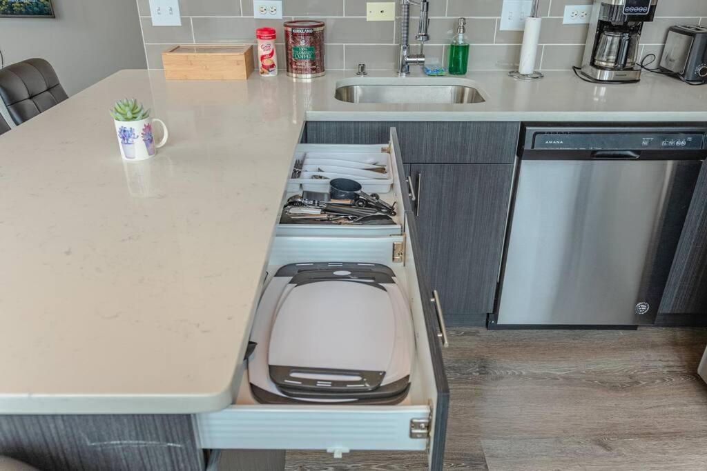 Apartment Luxury 2Br Suite With Optional Parking And Gym Access Near Mccormick Place And Soldier Field