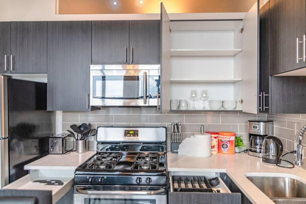 Central 2Br South Loop Location With Optional Parking & Gym Access Near Mccormick Place, Shedd Aquarium & Navy Pier Apartment