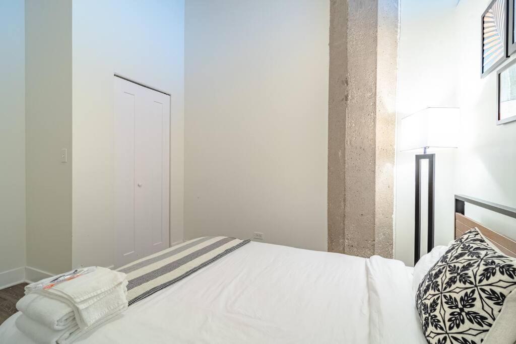 South Loop 3Br Apartment Near Lakefront Trail, Field Museum & Adler Planetarium Apartment