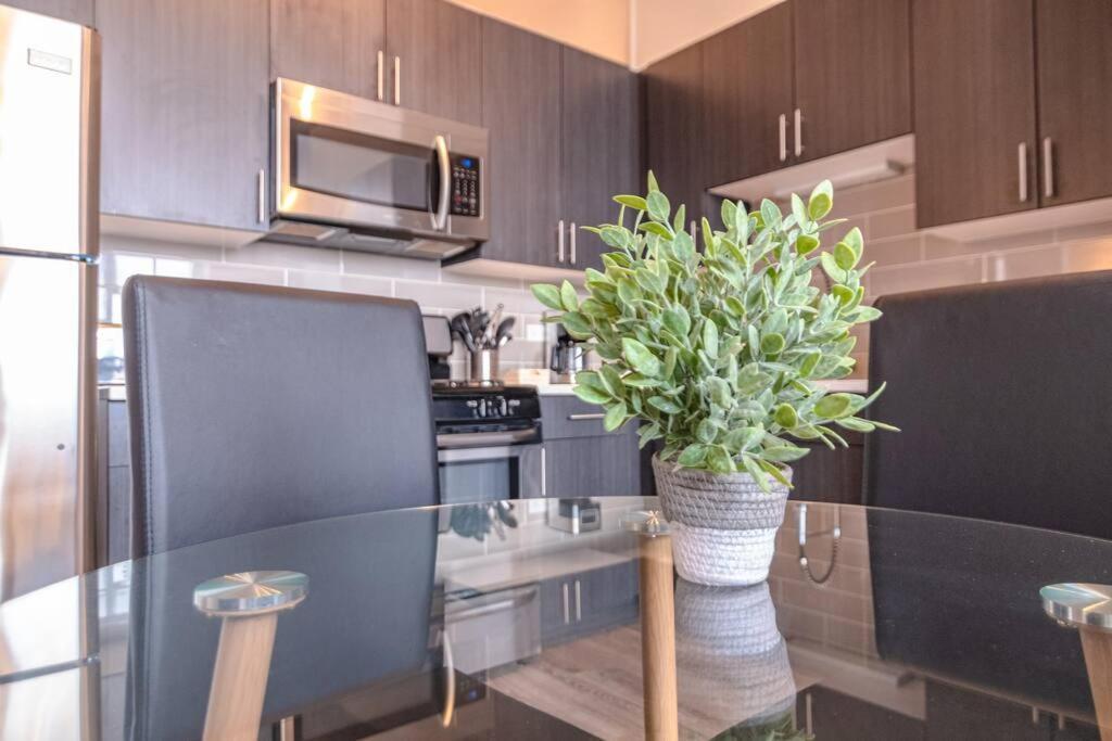 South Loop 3Br Apartment Near Lakefront Trail, Field Museum & Adler Planetarium Apartment *