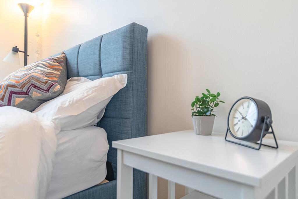 South Loop 3Br Apartment Near Lakefront Trail, Field Museum & Adler Planetarium Apartment