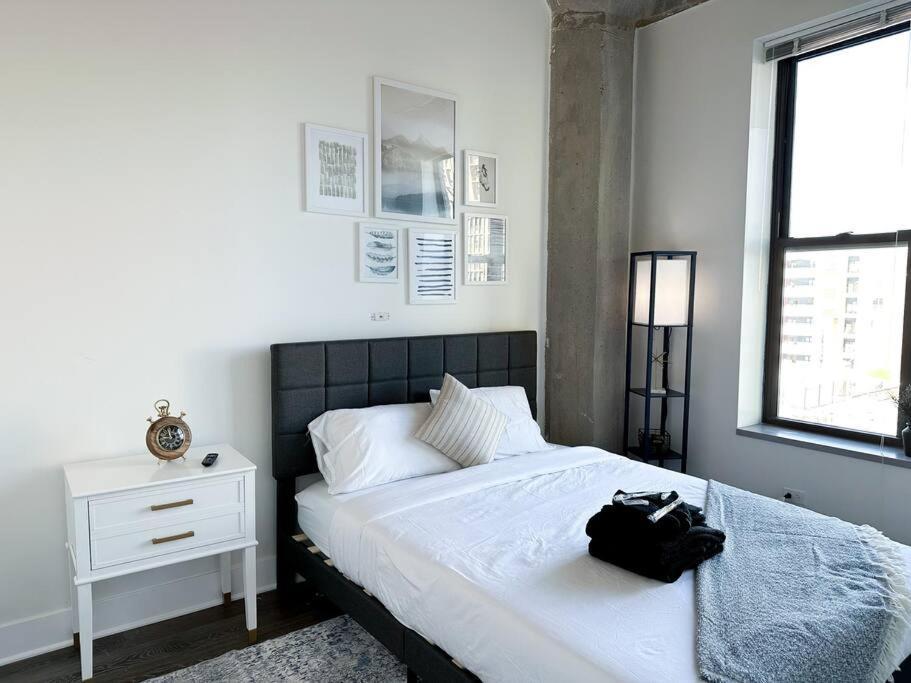 Modern Chicago 2Br Apartment With Skyline View, Optional Parking & Gym Access Near Mccormick, Museum Campus, Grant Park & Soldier Field Apartment *