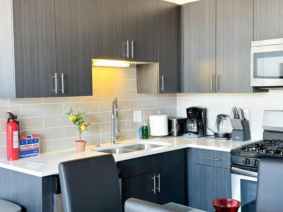 Modern Chicago 2Br Apartment With Skyline View, Optional Parking & Gym Access Near Mccormick, Museum Campus, Grant Park & Soldier Field *