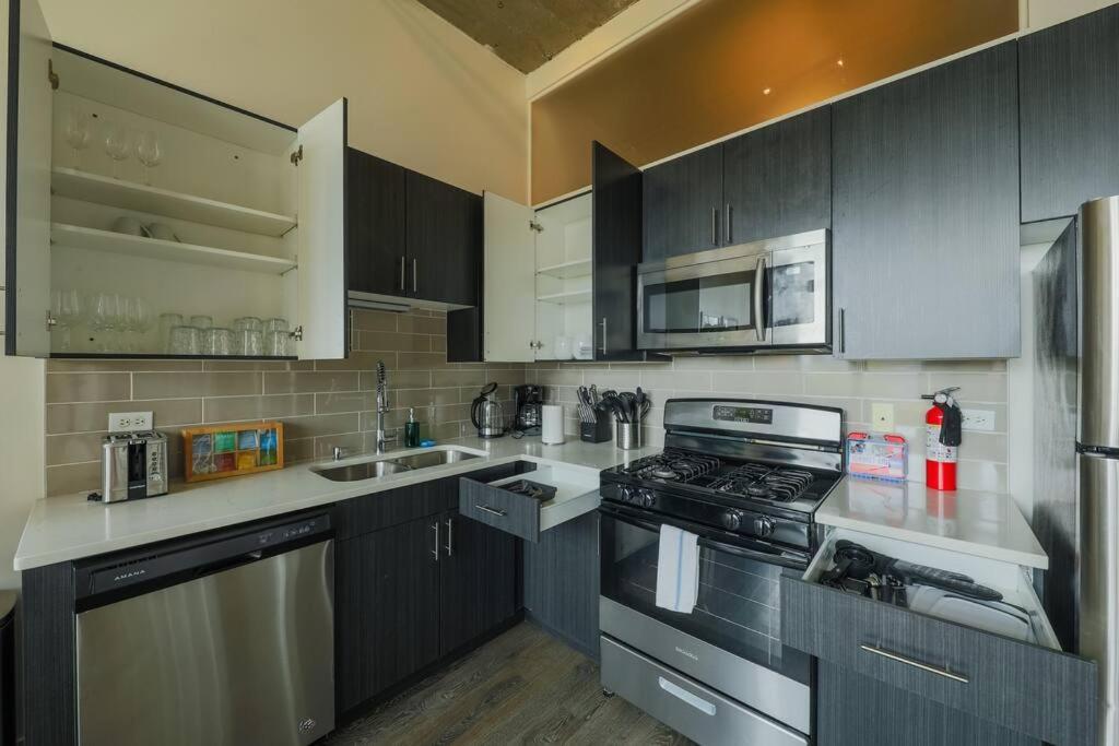 Walkable 2Br Apartment In Chicago South Loop With Optional Parking And Gym Access Near Mccormick Place, Museum Campus & Lakefront