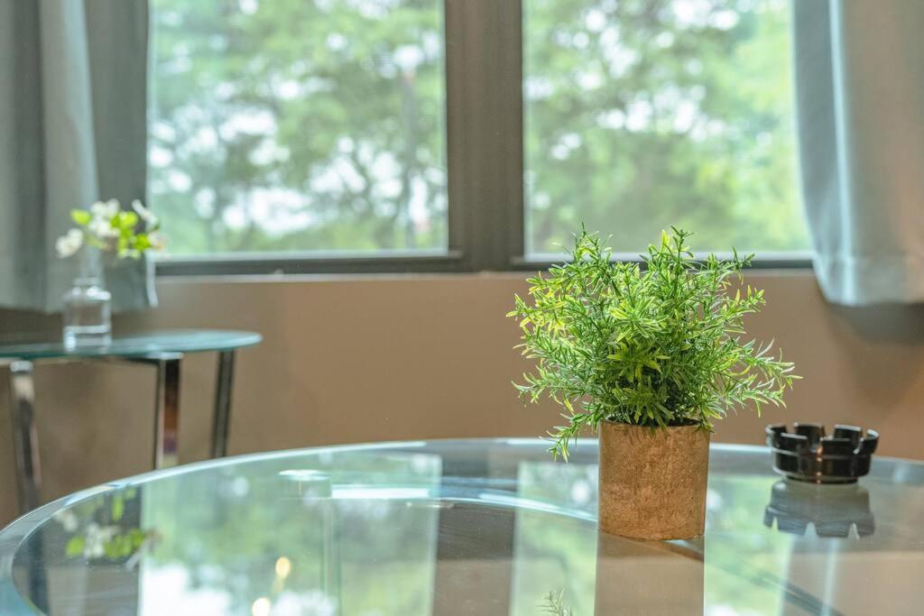 Apartment Stylish 3Br Suite Near Soldier Field And Mccormick Place *
