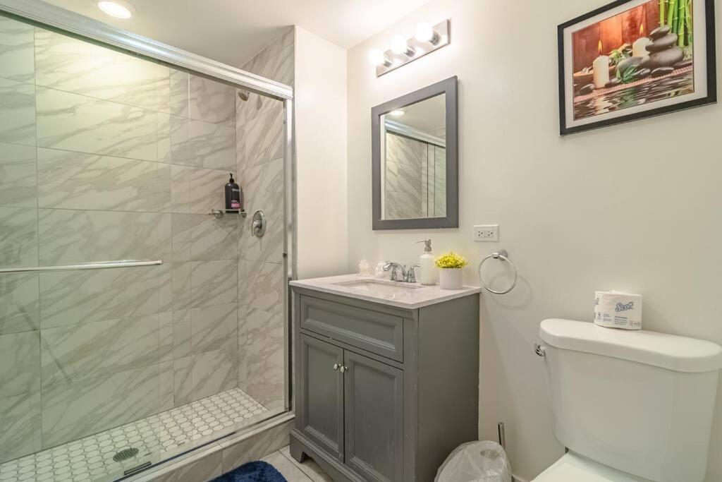 Apartment Stylish 3Br Suite Near Soldier Field And Mccormick Place *