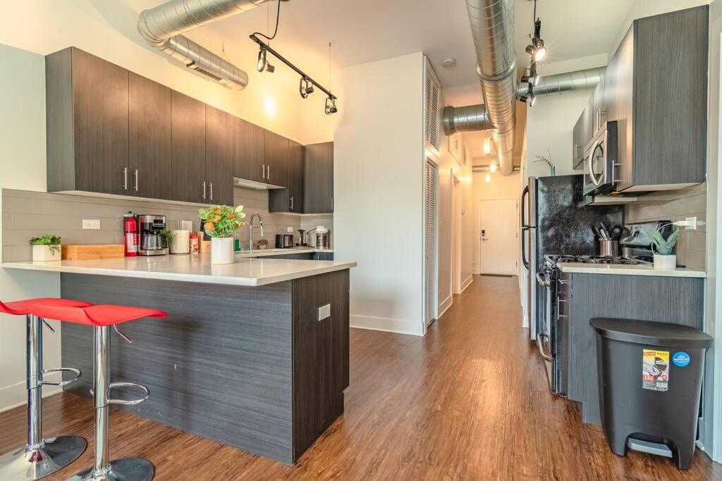 Spacious 3Br Chicago Apartment With Optional Parking Near Mccormick Place, Soldier Field & Uic Campus