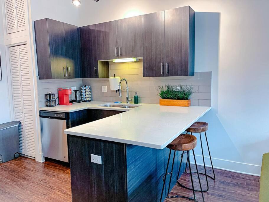 Spacious 420-friendly 2br Retreat Near Mccormick Place, Grant Park And Soldier Field Chicago