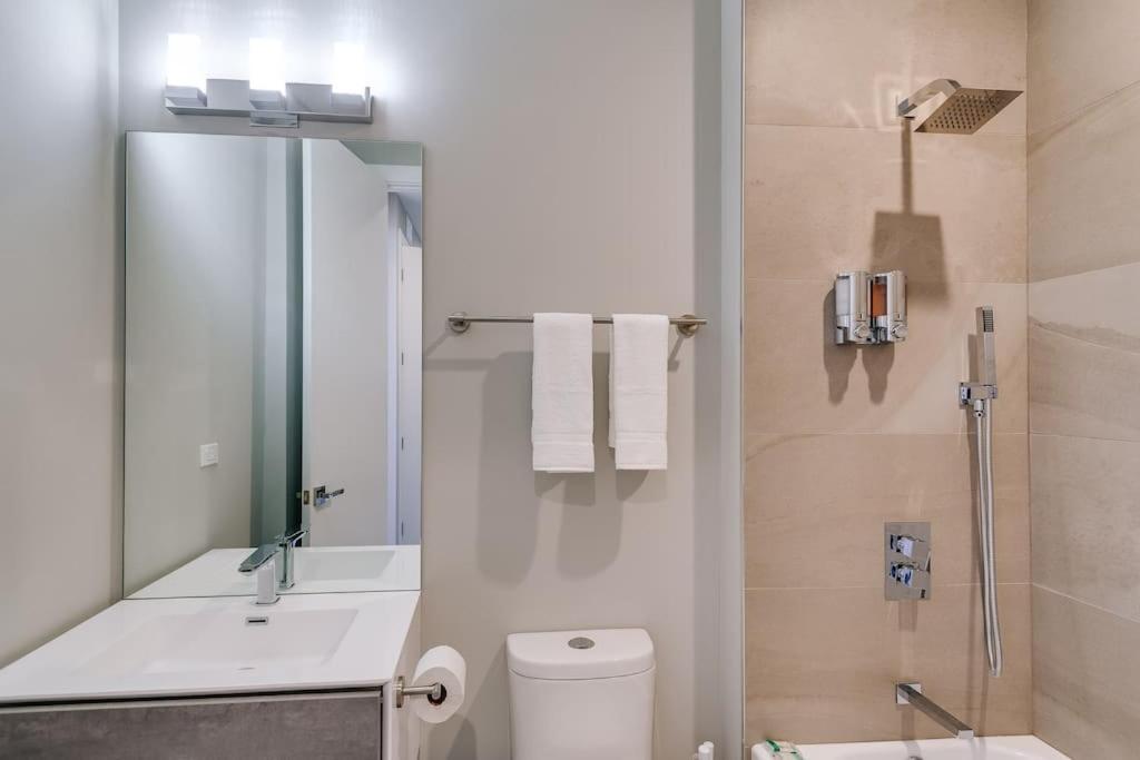 2 Newly Built Luxury With Private Roofdeck Chicago