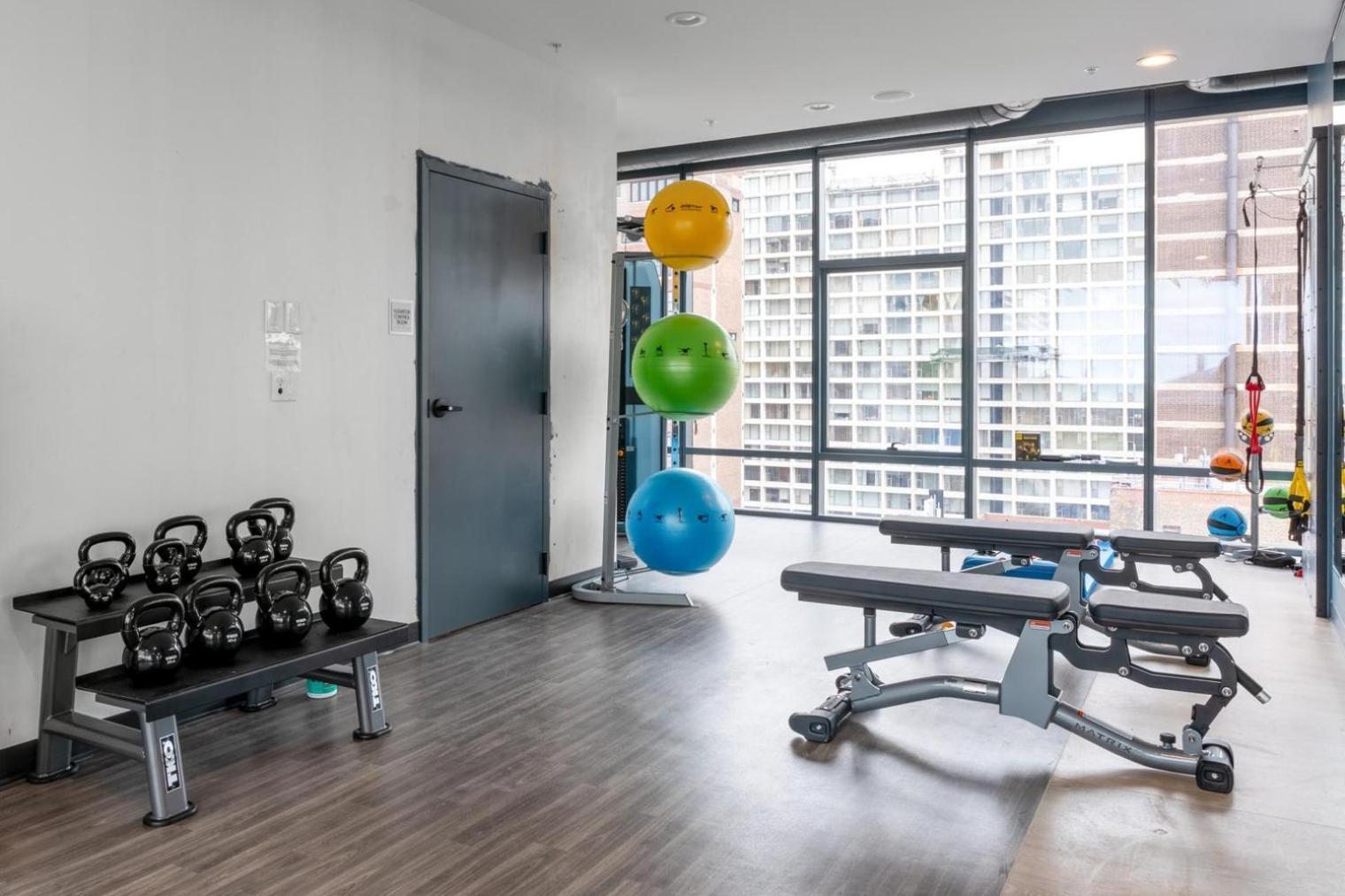 Lakeview 1br W Wd Gym Nr Lakefront Trail Chi-203 Apartment