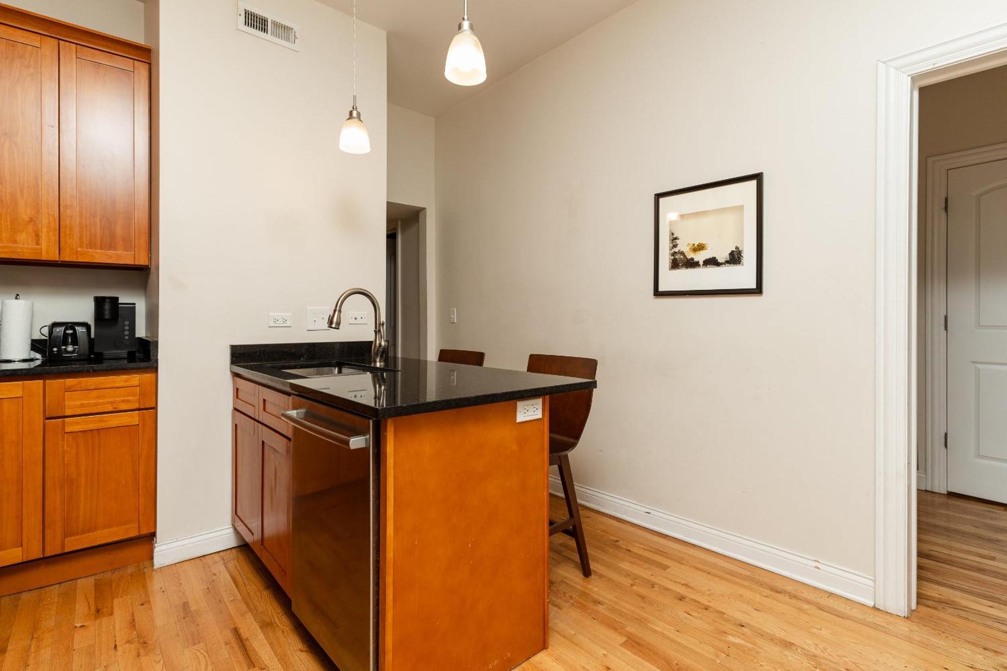 Wicker Park 2br Modern Dv3 Apartment