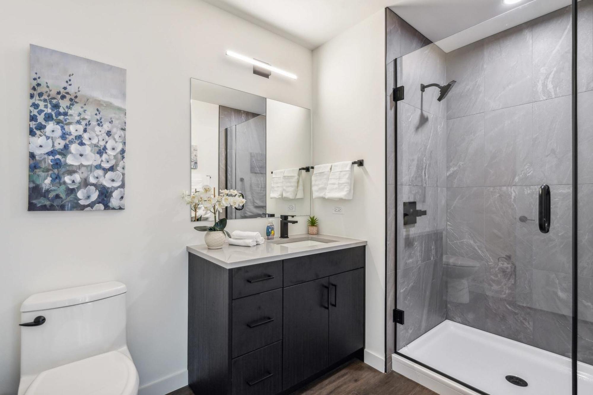 3br Luxury Modern Apartment Chicago