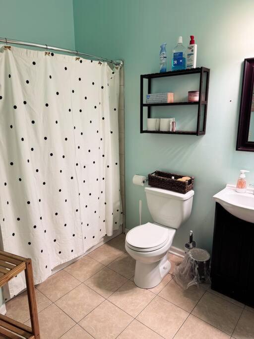 7bd 3ba Building Near Uc, Train, Free Parking * Chicago