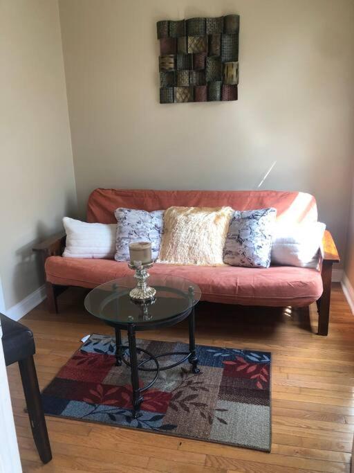 Tones Comfort Near U Of Chgo And 20min Dtwn Chgo Appartement