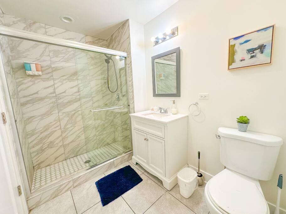 South Loop 3br With Optional Parking Near Mccormick Place Apartment