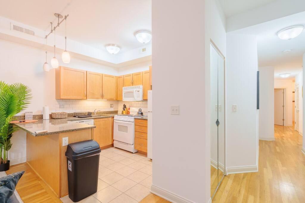 Appartement Cozy 3br Hyde Park Oasis Near Uchi, Shops & Dining Chicago