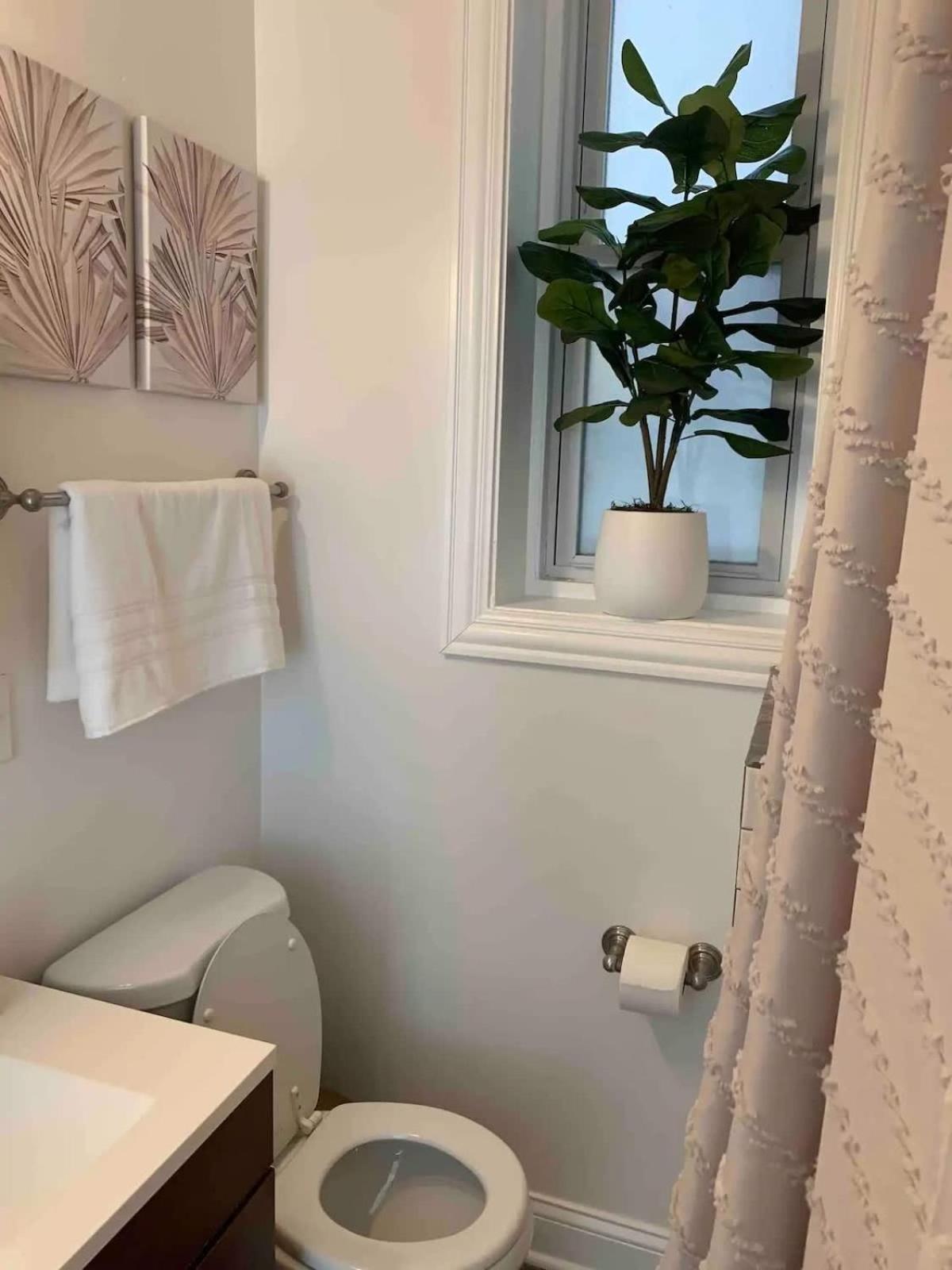 Tropical Boho Oasis Apartamento Chicago