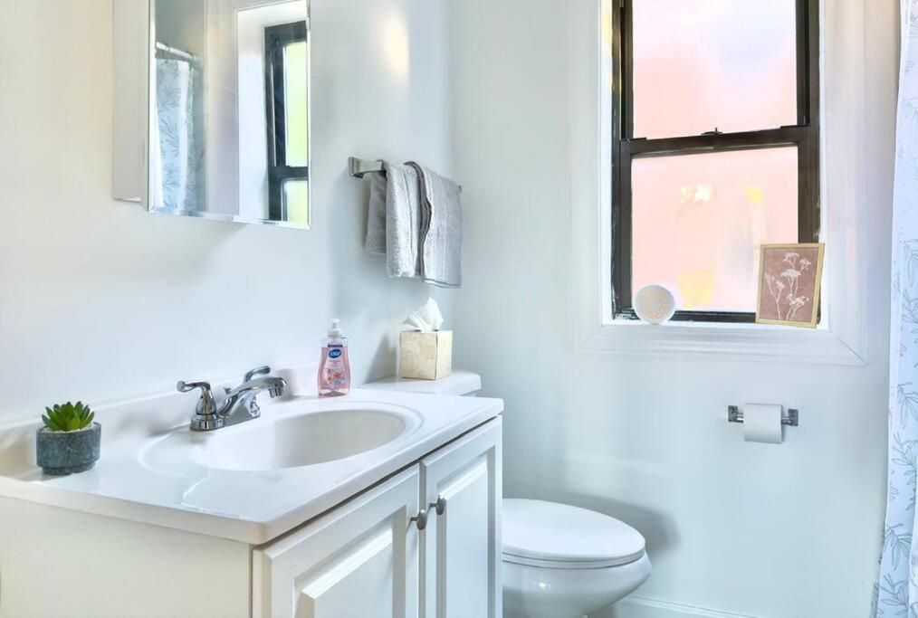 Apartment 1br Retreat Cozy & Inviting Near Loyola *