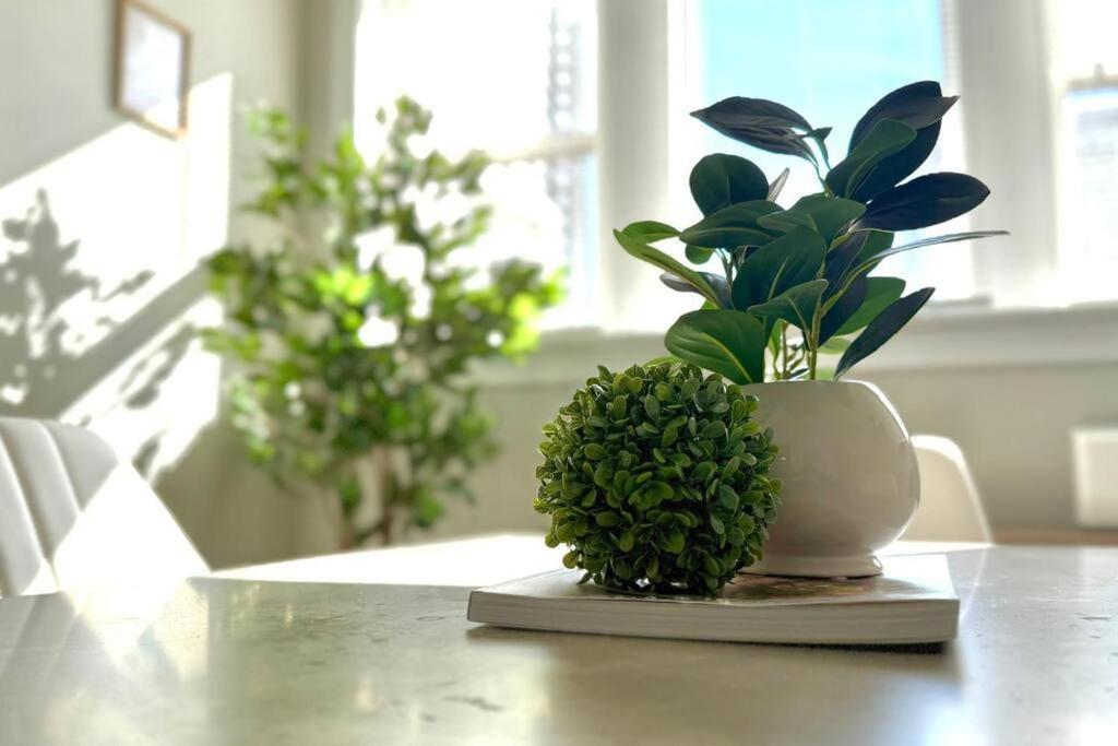 Vibrant 1br Explore Chicago's Hidden Gems