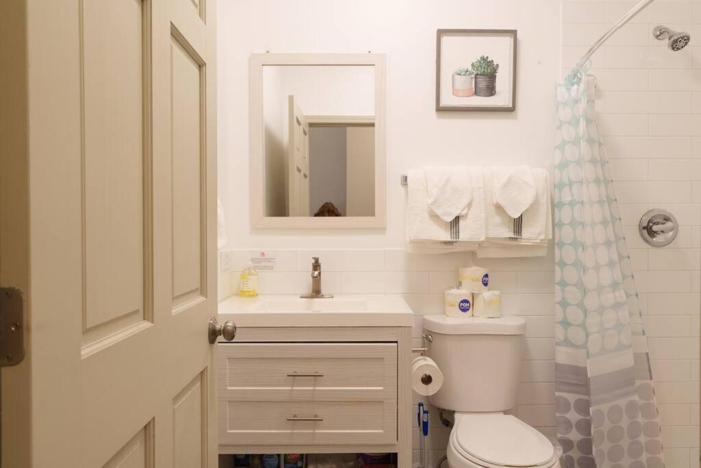 Apartment Modern Wicker Park Close To Shops & Dining Chicago