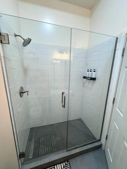 Apartment Chic Safari Haven - 2 Bd\2 Ba - Sleeps 8 Chicago