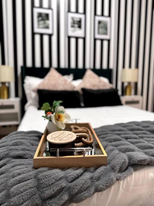 Chic Safari Haven - 2 Bd\2 Ba - Sleeps 8 Apartment Chicago