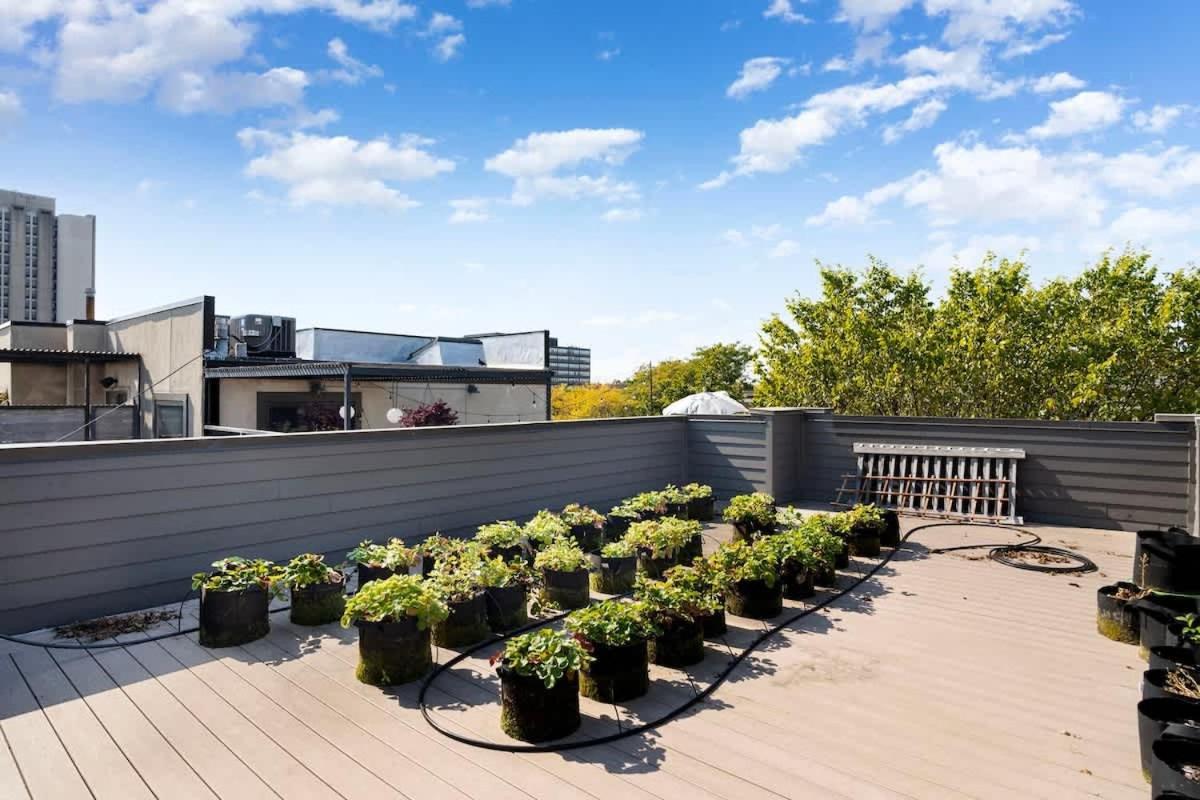 Stunning 5br In Heart Of With 2 Rooftops Holiday home