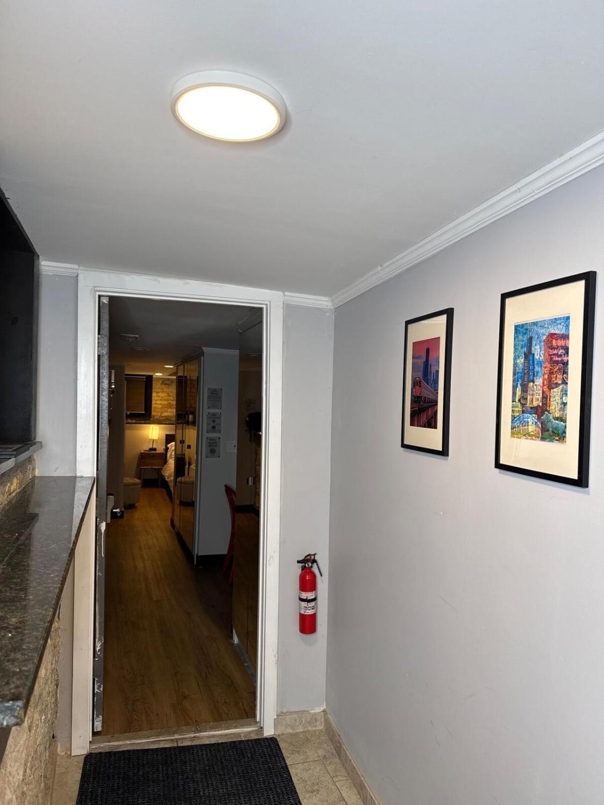 Modern In Lincoln Park Apartment