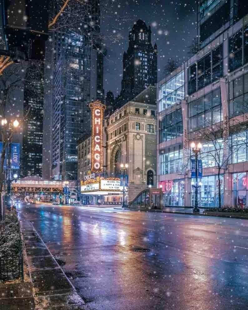 Pristine Lakeview Boystown Wrigley Haven Chicago