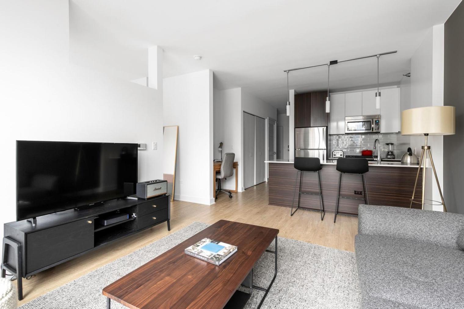 Loop 1br W Gym Pool Wd Nr Millennium Park Chi-227 Apartment