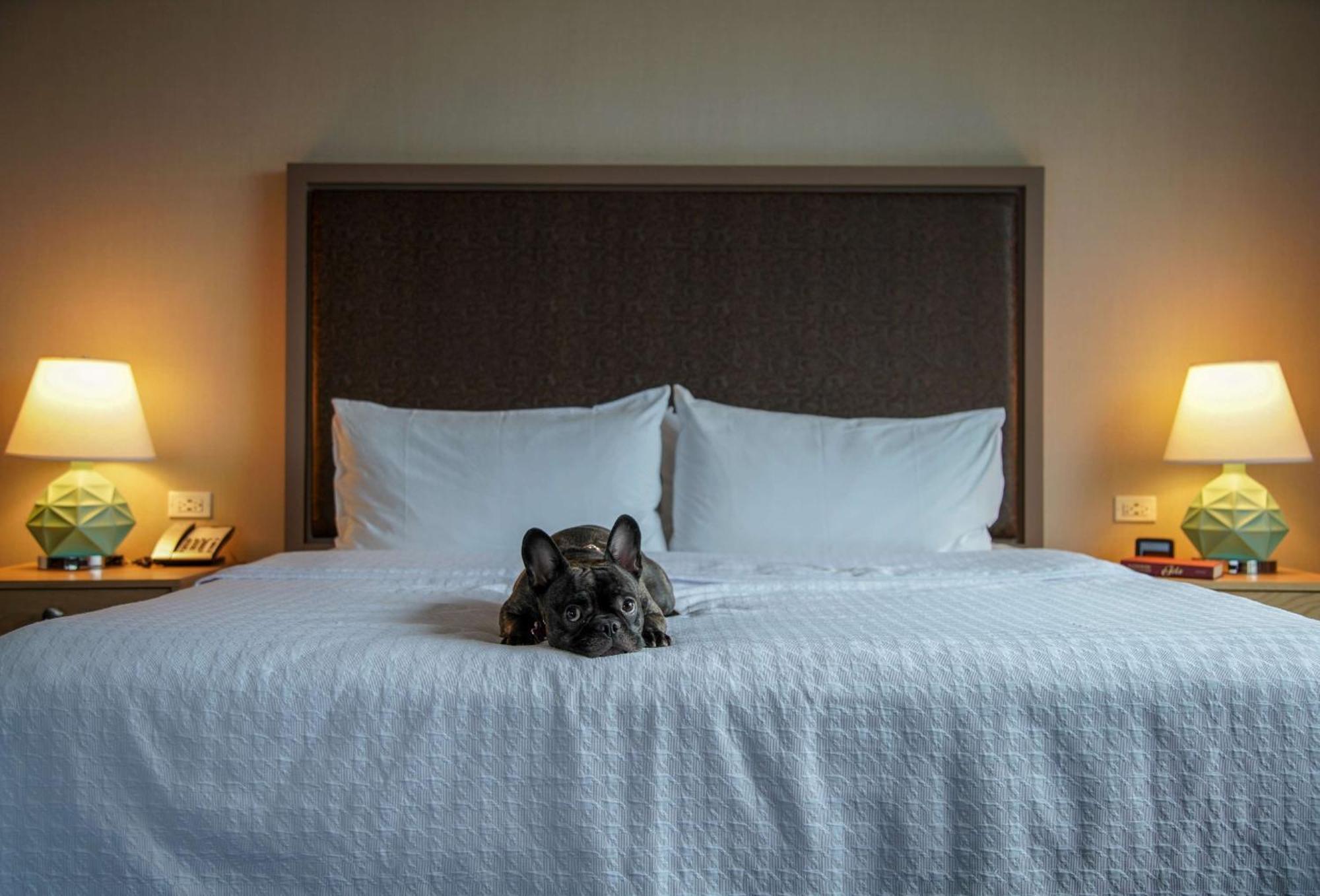 Homewood By Hilton West Loop Fulton Mkt Area 3* Chicago