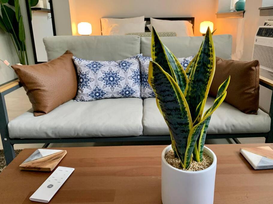 Explore North Side From Modern *