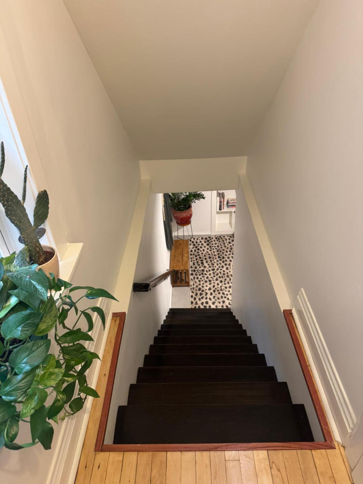 Apartment The Avondale Retreat *