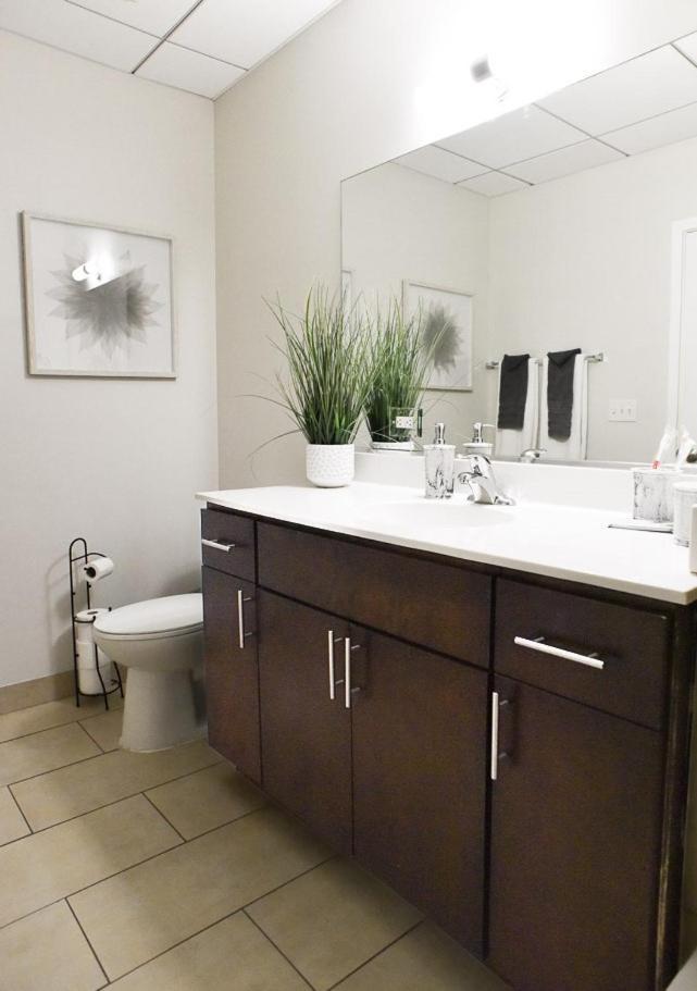 Apartment Luxery - Themed Units! Close To Downtown, Mccormick Place & Wintrust Arena Chicago