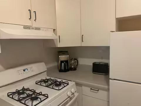 Apartment Luxurious Andersonville Oasis Chicago