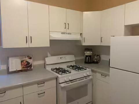 Luxurious Andersonville Oasis Chicago