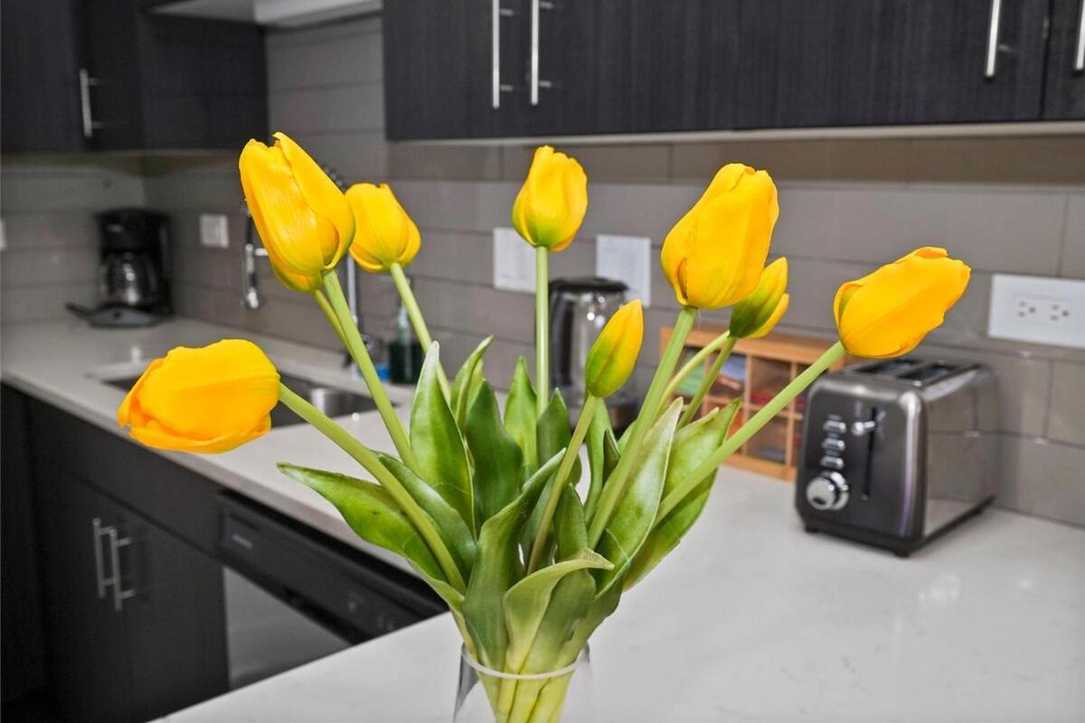 Modern 3br Unit Near Mccormick Place, Of Illinois And Soldier Field Apartment Chicago