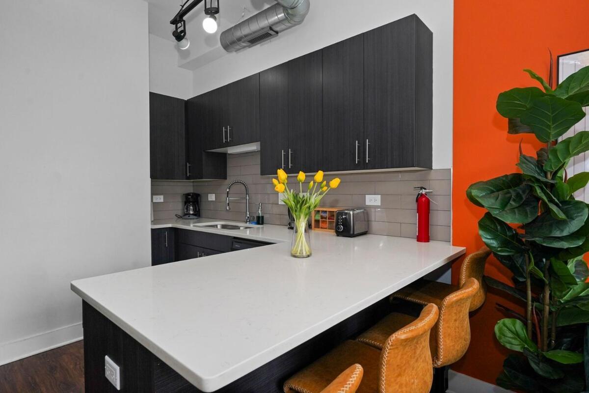 Apartment Modern 3br Unit Near Mccormick Place, Of Illinois And Soldier Field Chicago